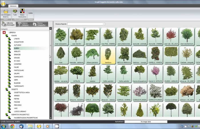 fioraio6