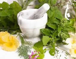 erboristeria-1